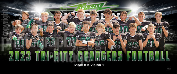 jv_gold_div1