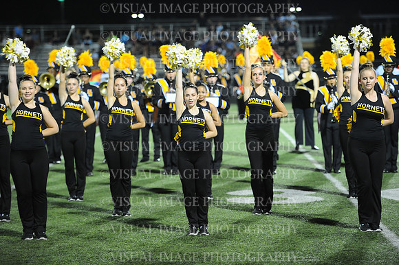 HINS_028