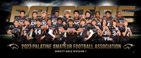 VarsityGoldD1