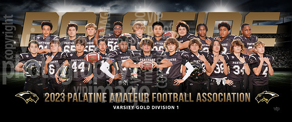 VarsityGoldD1