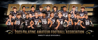 VarsityGoldD2