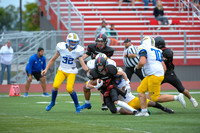 sps_0010_1033138539