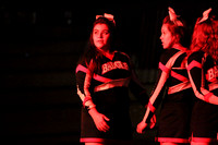 BDGS_0006