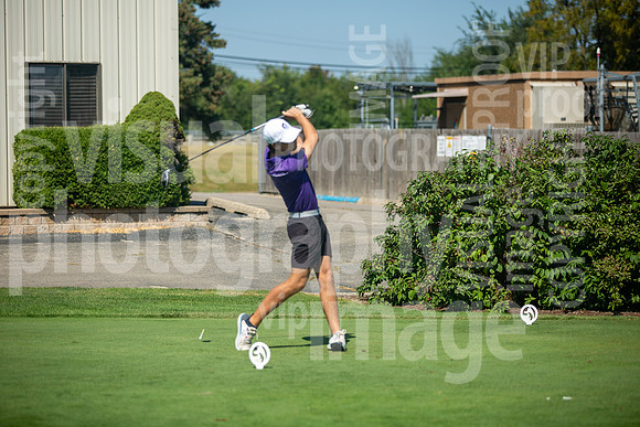 sps_0024_1033181460