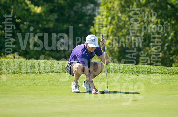 sps_0031_1033181465