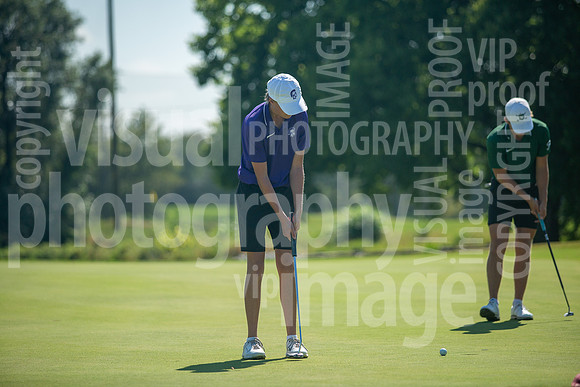 sps_0035_1033181473