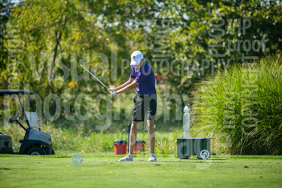 sps_0041_1033181480