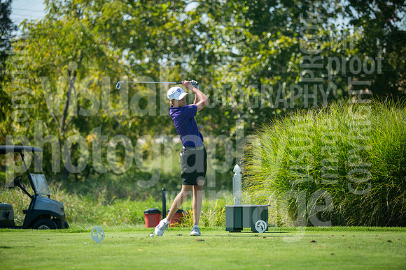 sps_0042_1033181482
