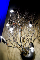 sps_0015_1036884519