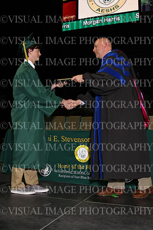 STEV_0021