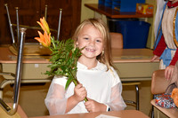 STMO_0017