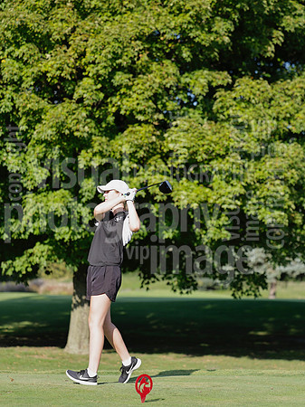 sps_0120_1033334325