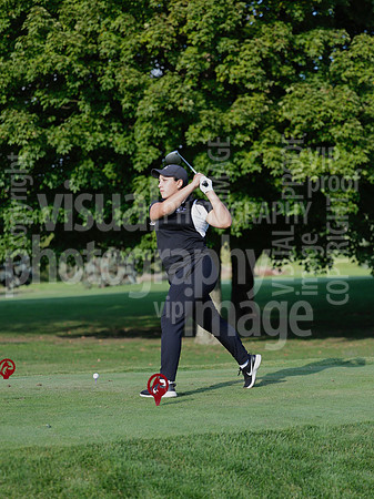 sps_0134_1033334316