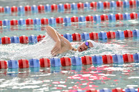 sps_0001_1033305151