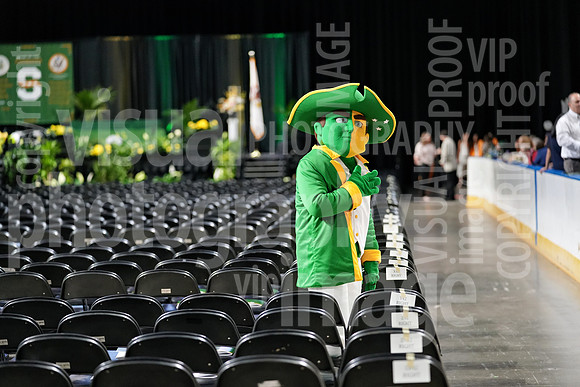 sps_0010_1037111420