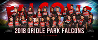 13u_Chr