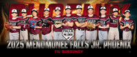 11u_burgundy_pp