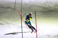 sps_0011_1008223203