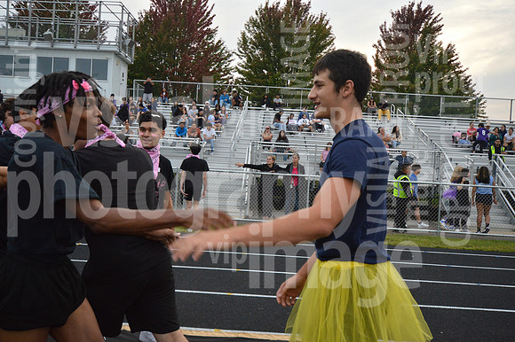 sps_0264_1033541316