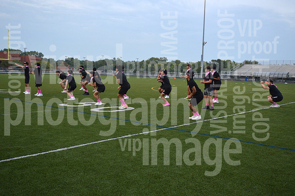 sps_0290_1033541384