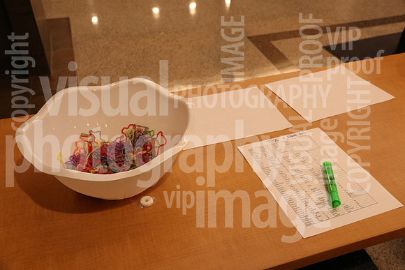 sps_0008_1033593481