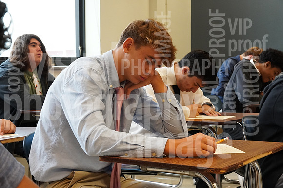 sps_0055_1033656219