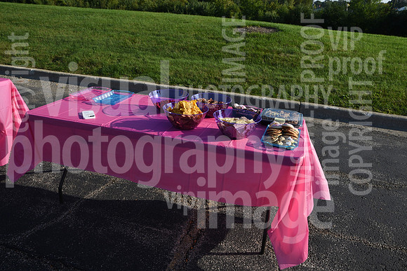 sps_0003_1033758527
