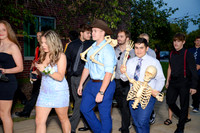 sps_0017_1033589446