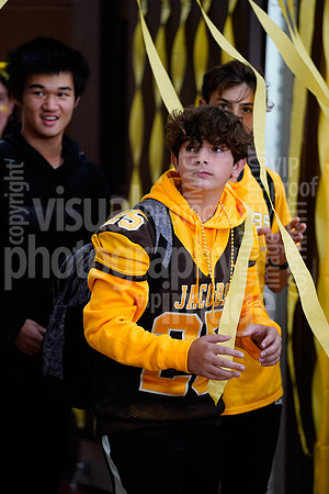 sps_0033_1033779273