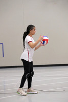 sps_2073_1033918101