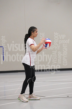 sps_2073_1033918101