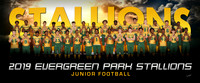 Junior_Fb