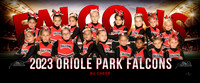 8ucheer-g_