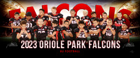 8ufootball-b_