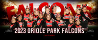 12ucheer-g_