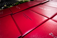 soel grad-3