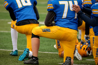 sps_0002_1034026028