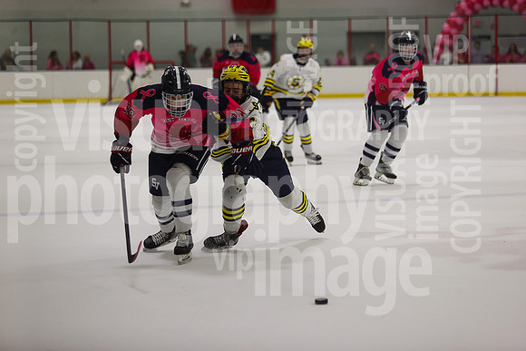 sps_0041_1034029693