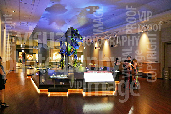 sps_0046_1036696657