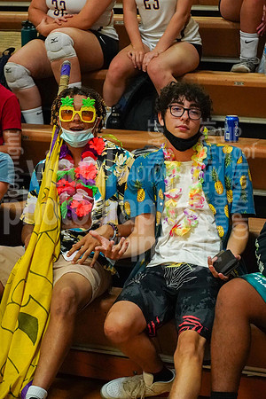 sps_0028_1006631702