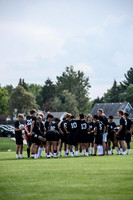 sps_0008_1006631589