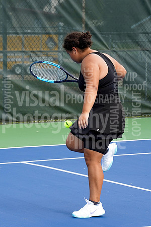 sps_0008_1006641753