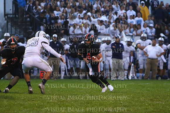 MINK_017