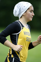 HINS_013
