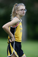 HINS_015