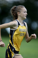 HINS_016