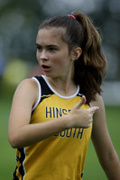 HINS_019