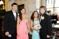 TFHS_0012