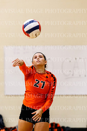 LBHS_018