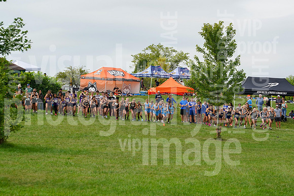 sps_0004_1006920119